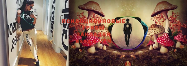 mix Алексеевка