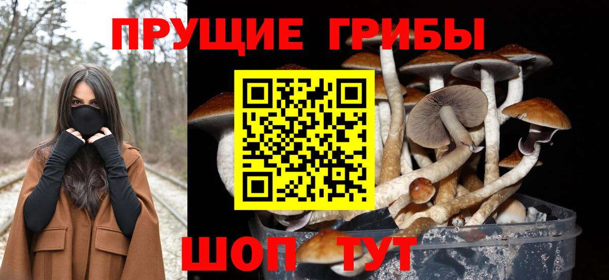 Псилоцибиновые грибы GOLDEN TEACHER Родники