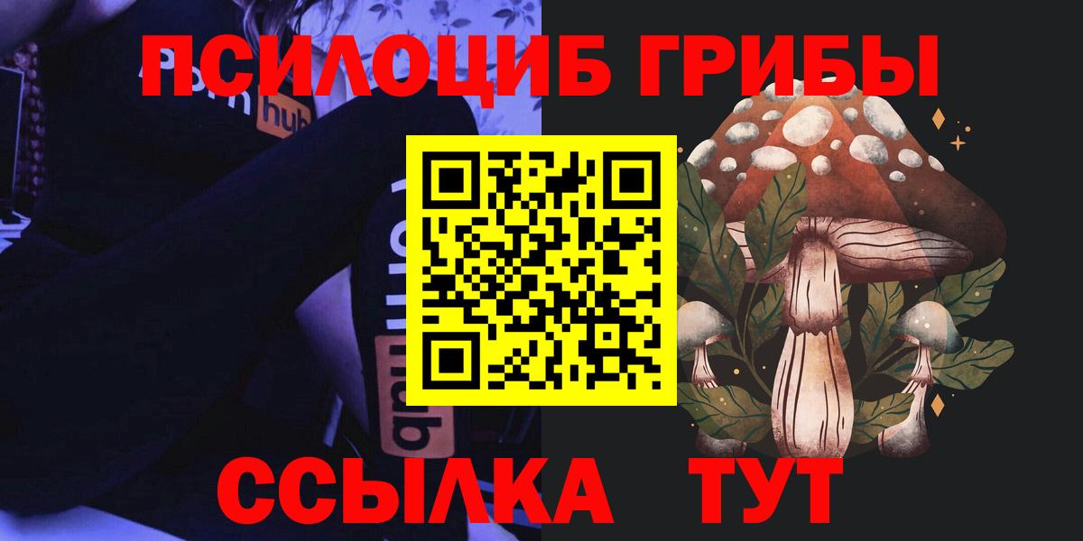 наркотики  Псилоцибиновые грибы ЛСД  Вход с VPN  Родники 